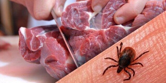 «کریمه کنگو» در کمین است؛ گوشت گرم مصرف نکنید